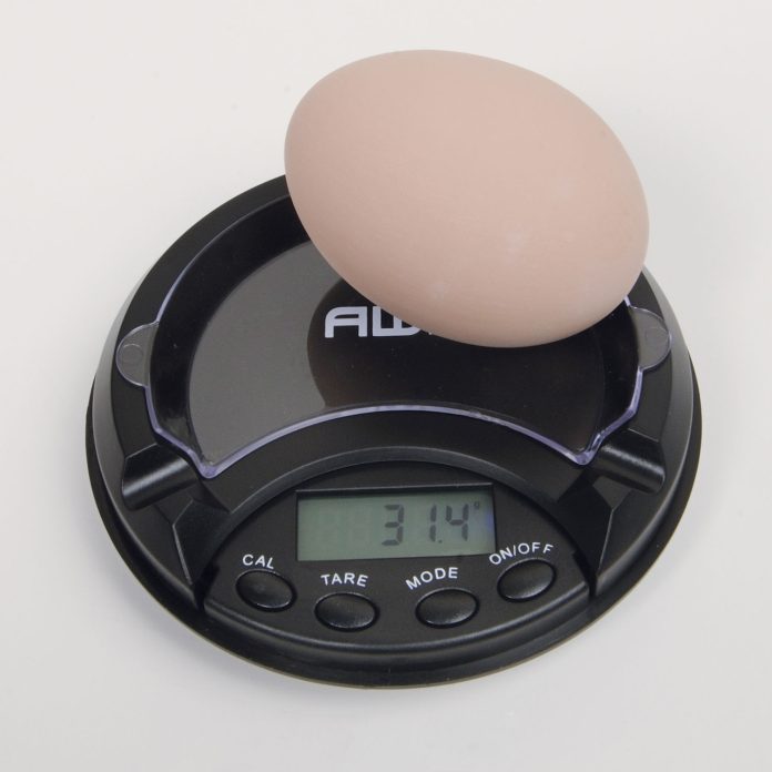 egg weighing scale